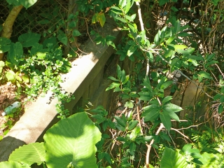 d0240983_7435971.jpg