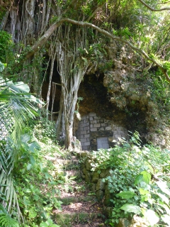 d0240983_7584997.jpg