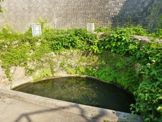 d0240983_7595441.jpg