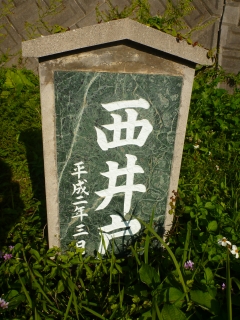 d0240983_801789.jpg