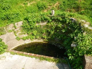 d0240983_804079.jpg