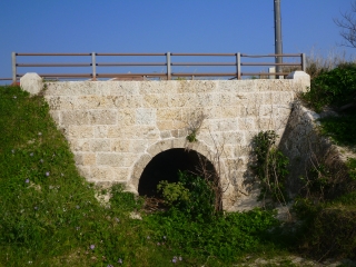 d0240983_872213.jpg
