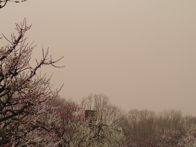 c0000685_21464588.jpg