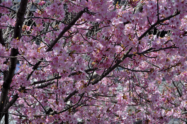 f0222687_0143266.jpg