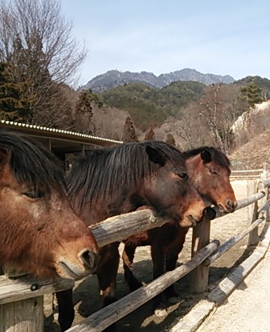 c0204188_0265475.jpg