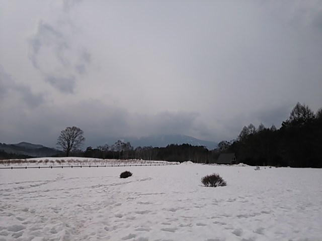c0204188_1114915.jpg