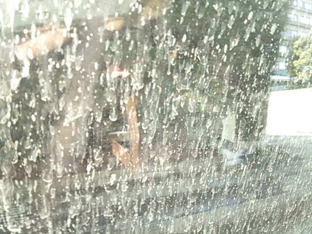 c0204188_1511582.jpg