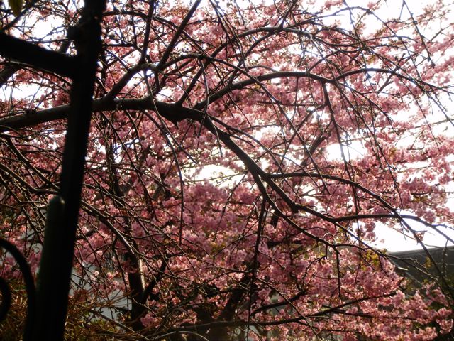 f0130894_20102100.jpg