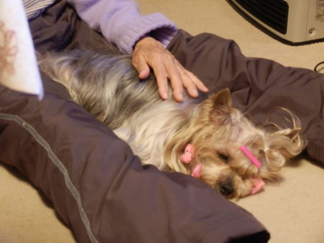 f0130894_20314291.jpg