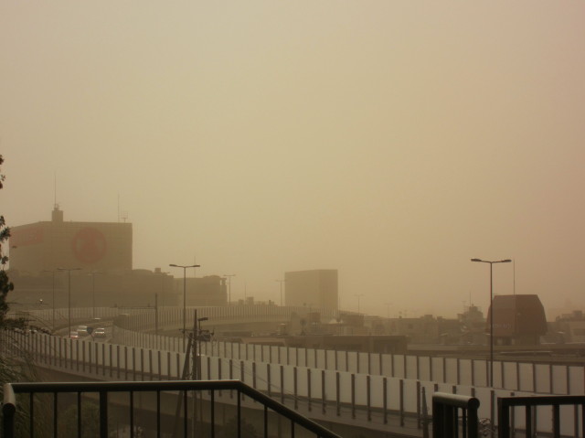 d0098295_22561310.jpg