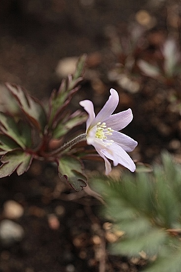 e0209997_12115943.jpg