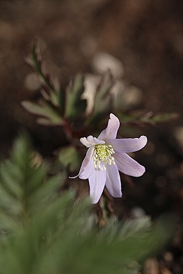e0209997_12122591.jpg