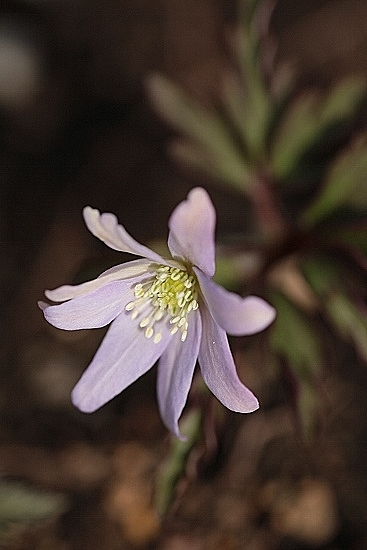 e0209997_12123890.jpg