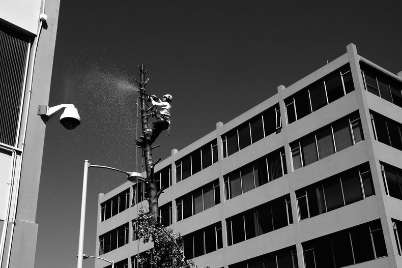 c0248100_17561972.jpg