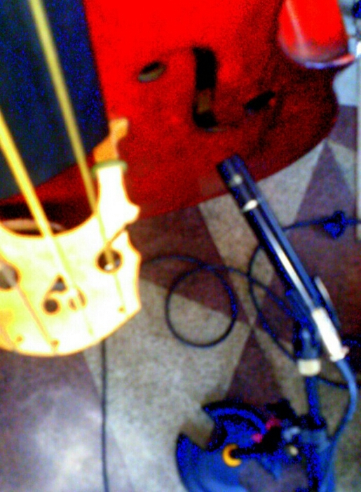 c0202101_017439.jpg