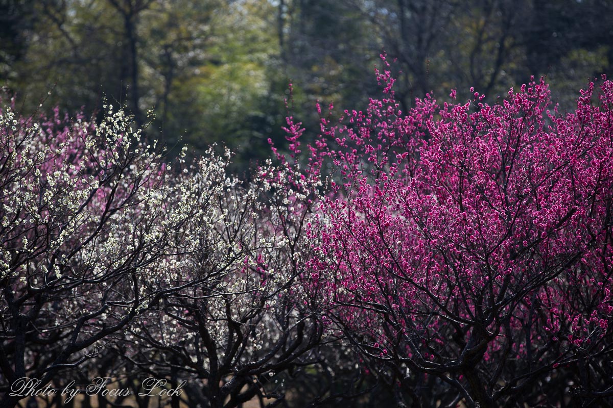 f0220502_201551.jpg