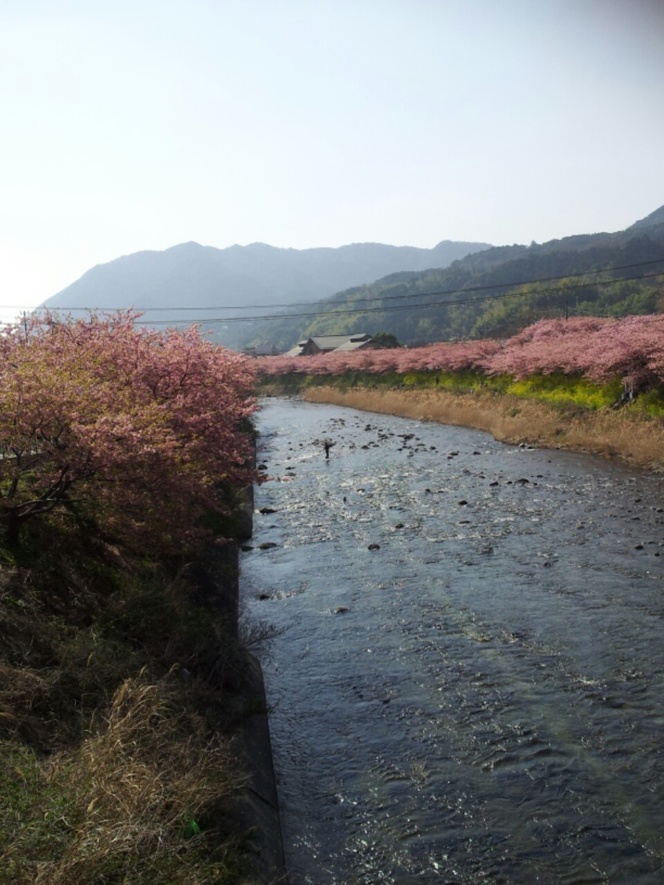 b0172805_14689.jpg