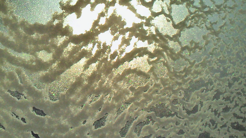 d0149105_748191.jpg