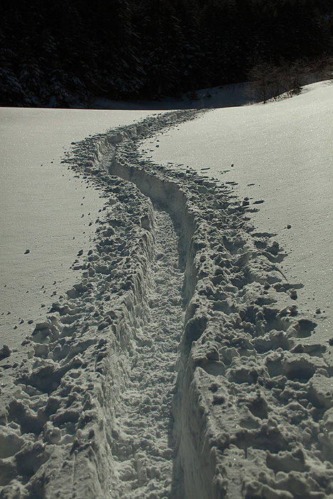a0148606_17381382.jpg