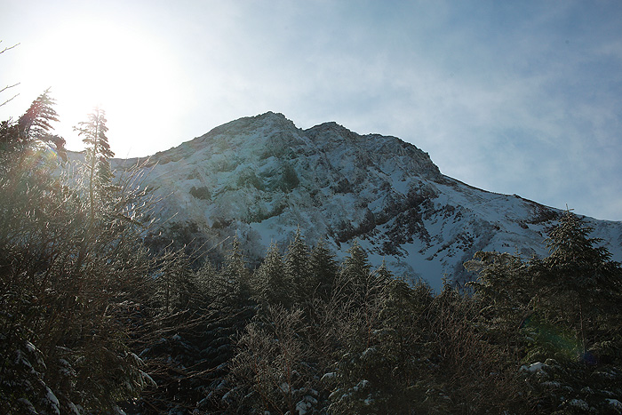 a0148606_17392012.jpg