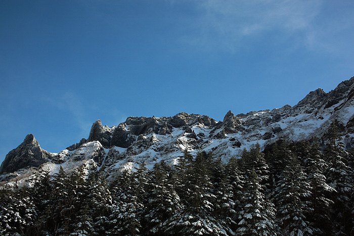 a0148606_17394092.jpg