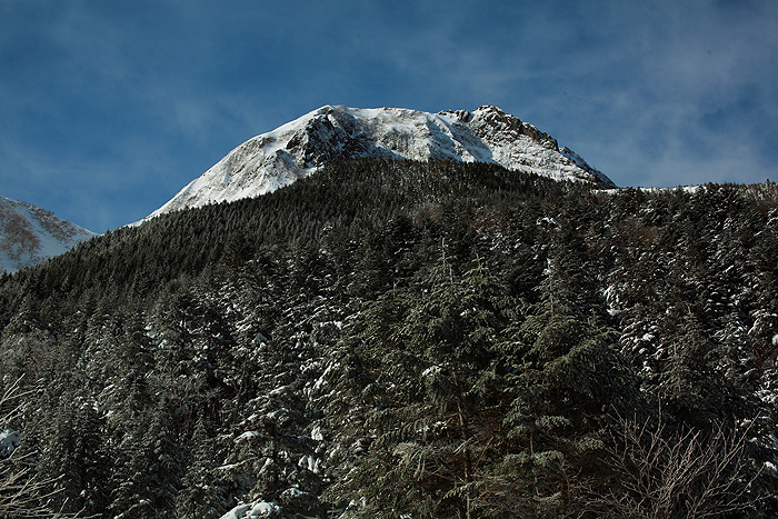 a0148606_1739597.jpg