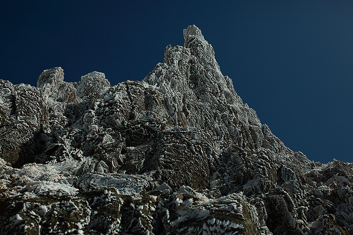 a0148606_17553656.jpg
