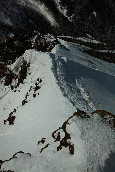 a0148606_198480.jpg