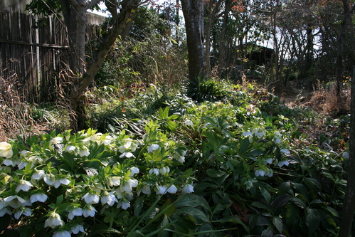 a0139007_1034240.jpg