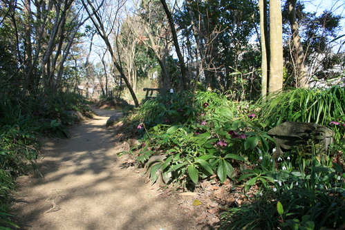 a0139007_9573726.jpg