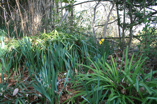 a0139007_9575622.jpg