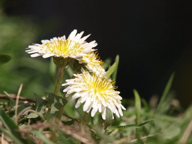 b0187620_2244776.jpg