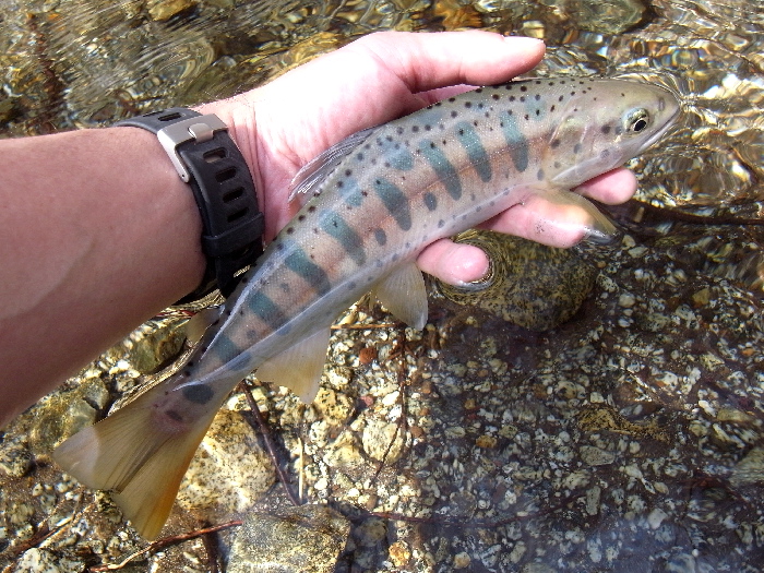 f0103126_20301547.jpg