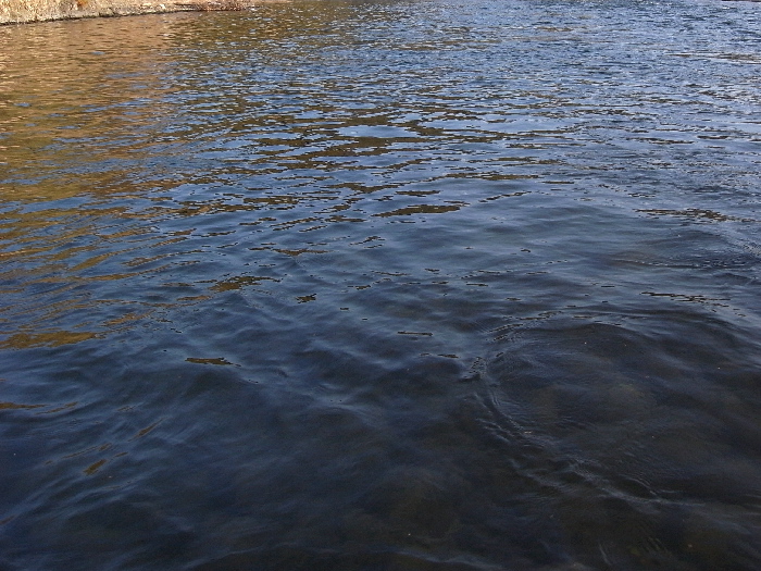 f0103126_2062054.jpg