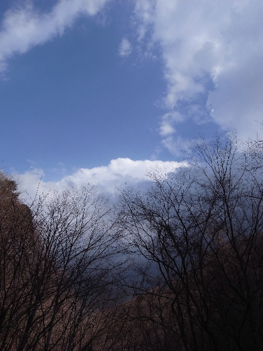 f0103126_2071218.jpg