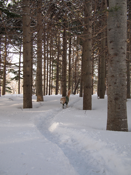 f0227228_1719820.jpg