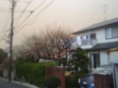 f0132230_974767.jpg