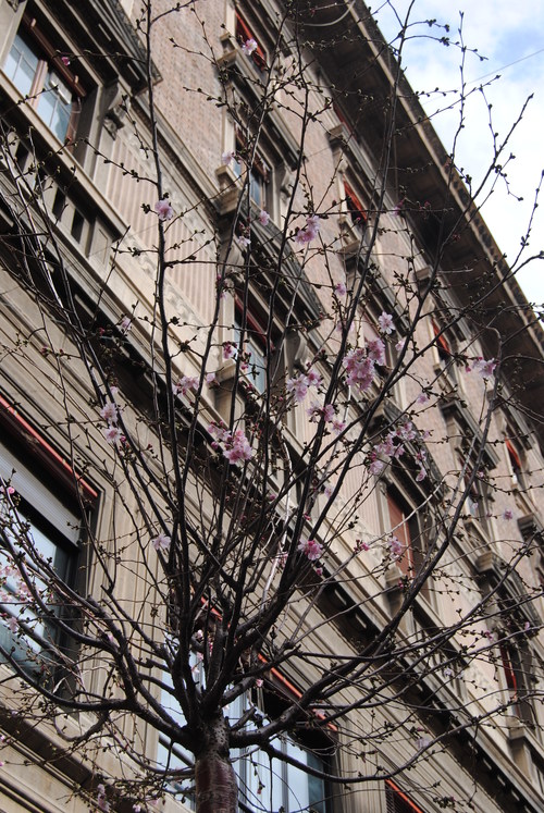 e0203331_2345847.jpg