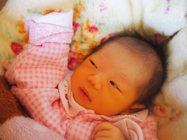 a0280635_1041025.jpg