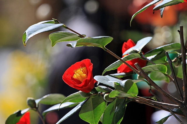 a0242438_19541036.jpg