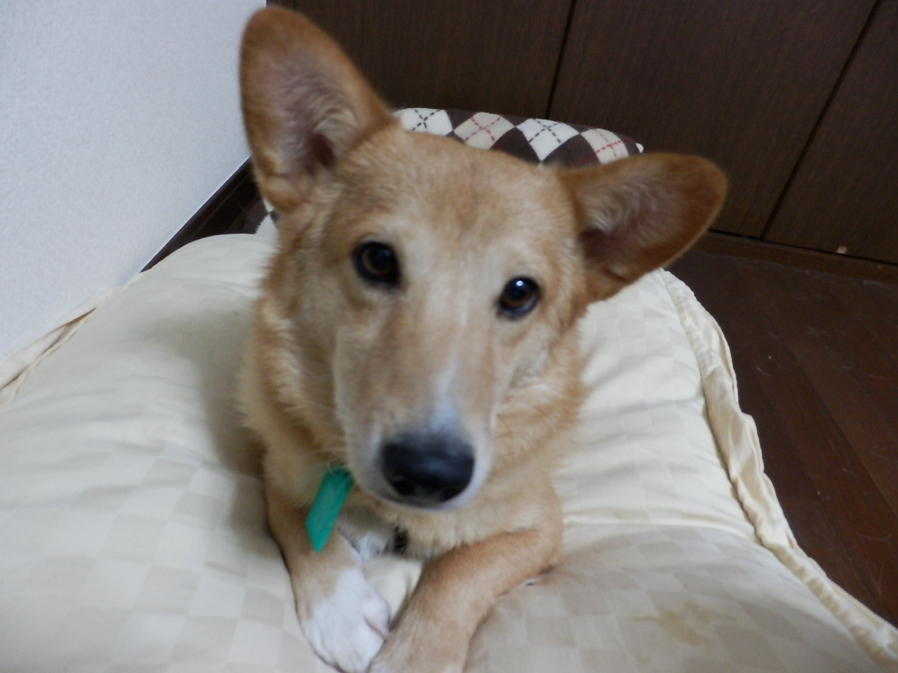 d0169340_0581635.jpg