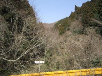 e0110940_031512.jpg