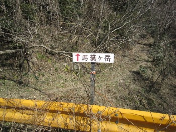 e0110940_0342084.jpg