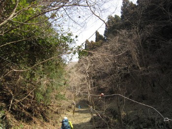 e0110940_0355515.jpg