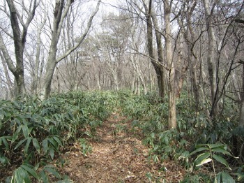 e0110940_0371151.jpg