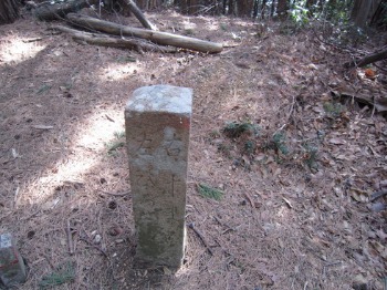 e0110940_0442540.jpg