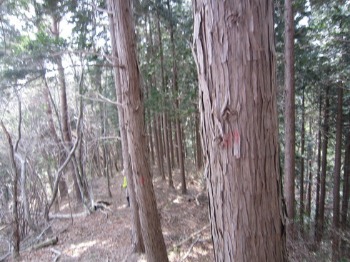 e0110940_0492186.jpg