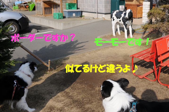 c0147241_13232551.jpg