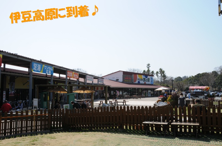 c0147241_13233342.jpg