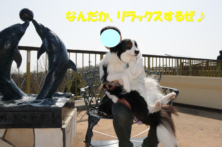 c0147241_13234611.jpg